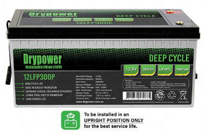 Drypower12LFP300P (89006-024)